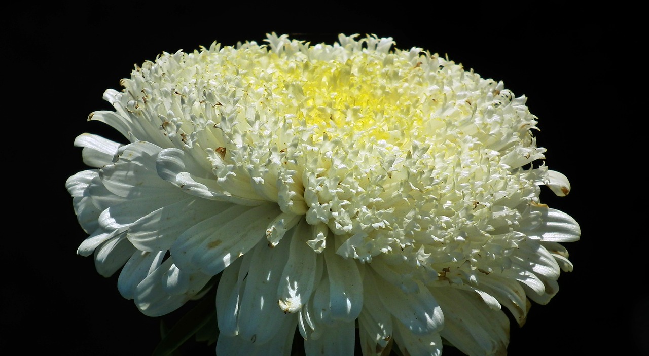 合肥锦绣花园最新房价动态与影响分析