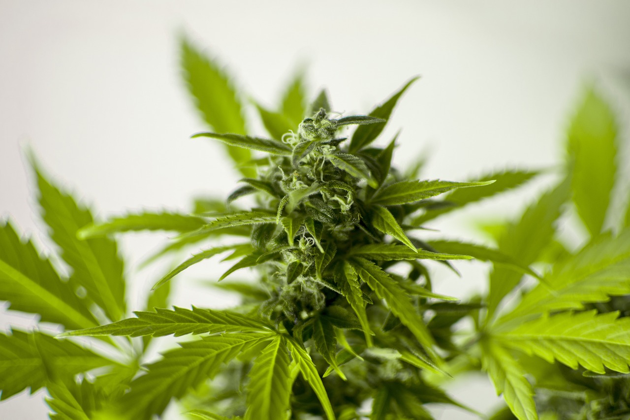初遇在故事开头 第34页