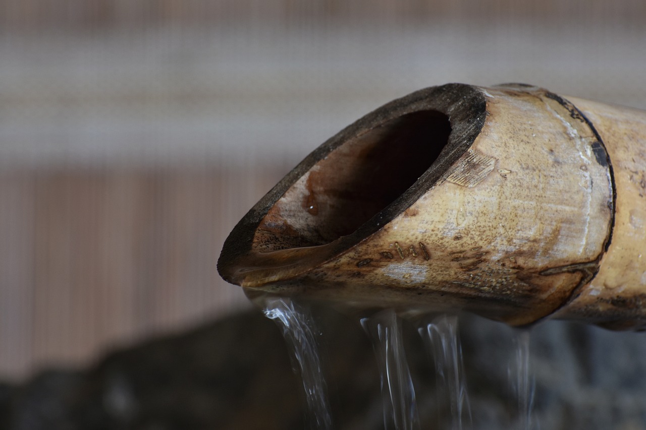 平阴2017年最新消息概览,最新动态一网打尽