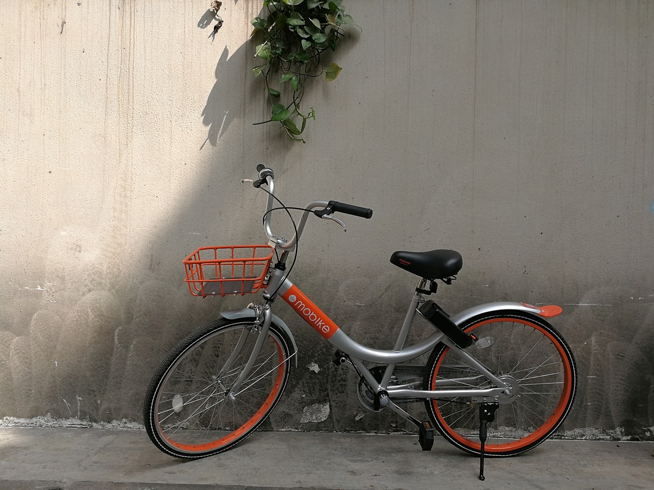 洛阳摩拜单车最新招聘,探寻智能出行的未来机遇与无限机遇