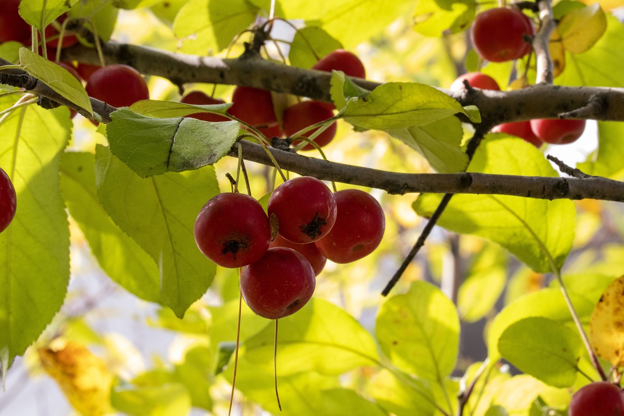 英磅与人民币的汇率最新动态及深度分析