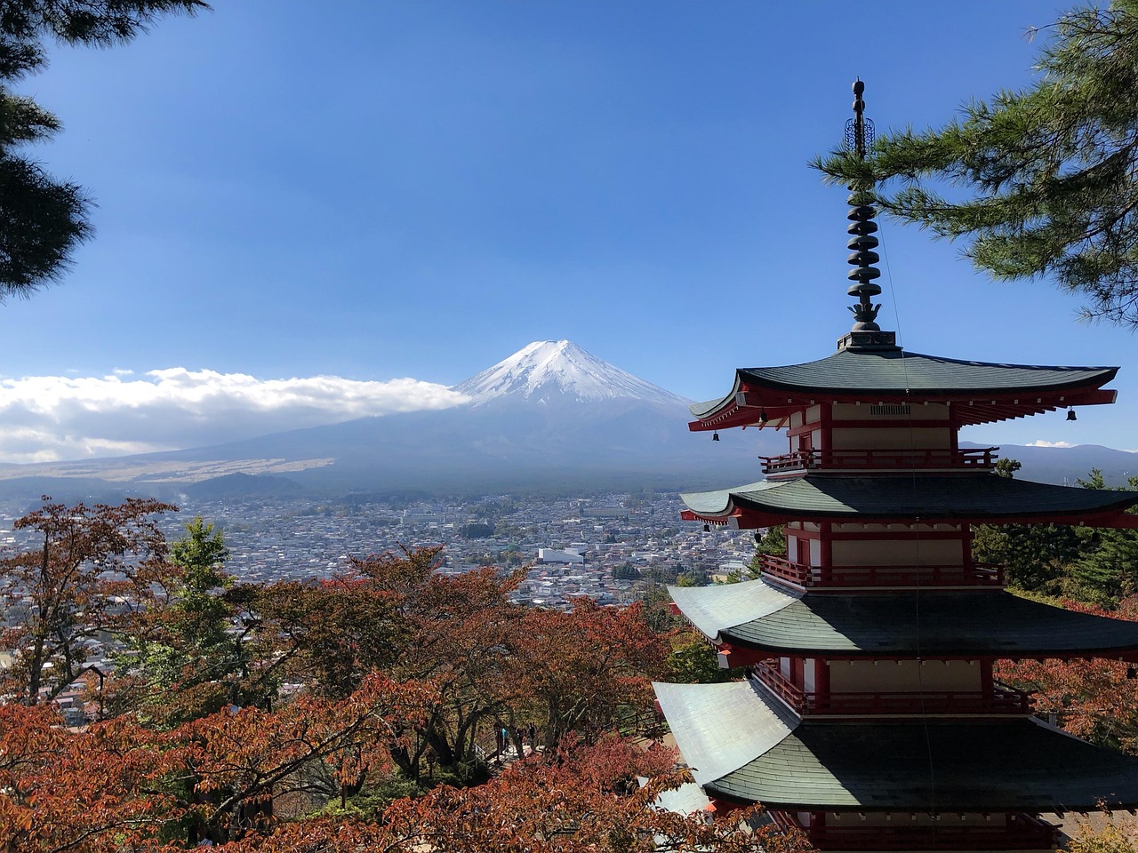 历山最新一日游攻略揭秘，精彩纷呈的一日游体验