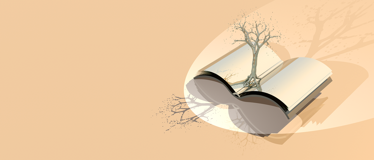 交通系统改革最新动态,重塑生态,智能绿色转型引领未来