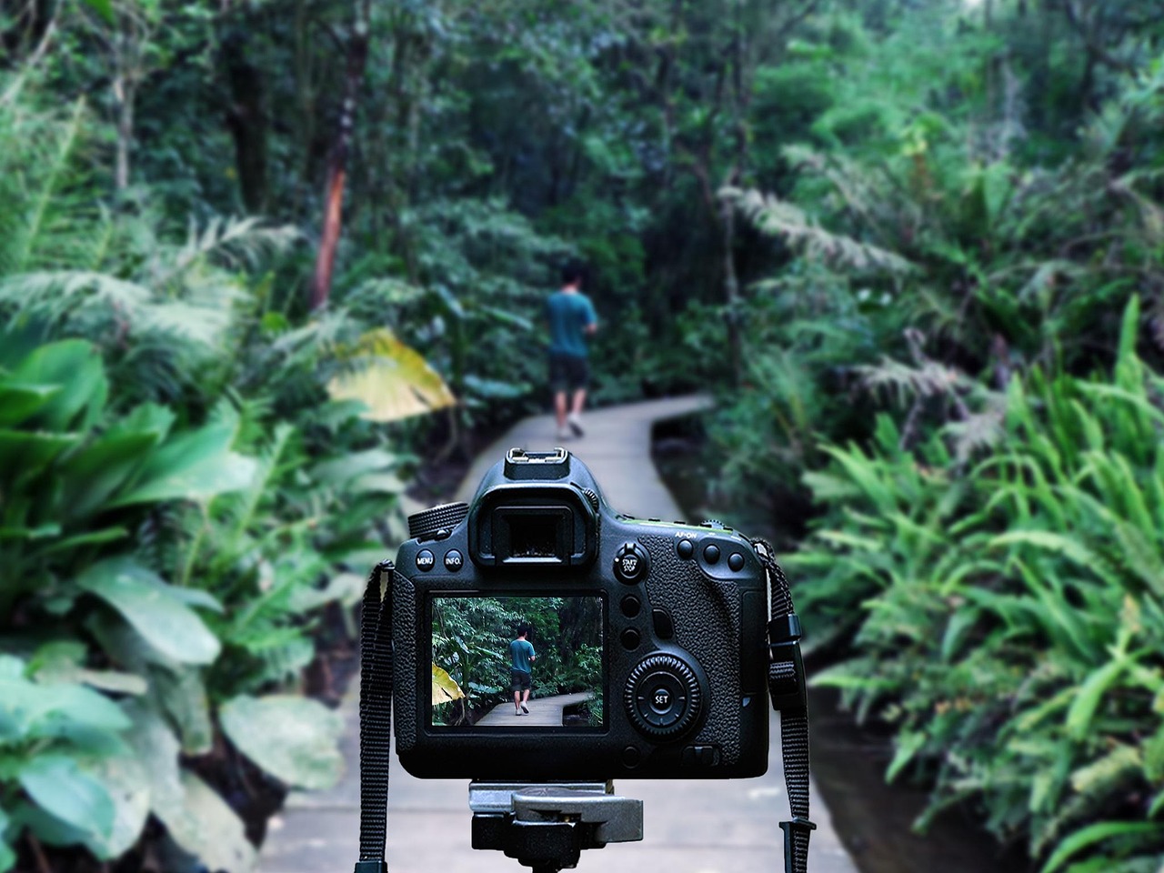 农民歌手张小五的最新音乐之旅与动态解析