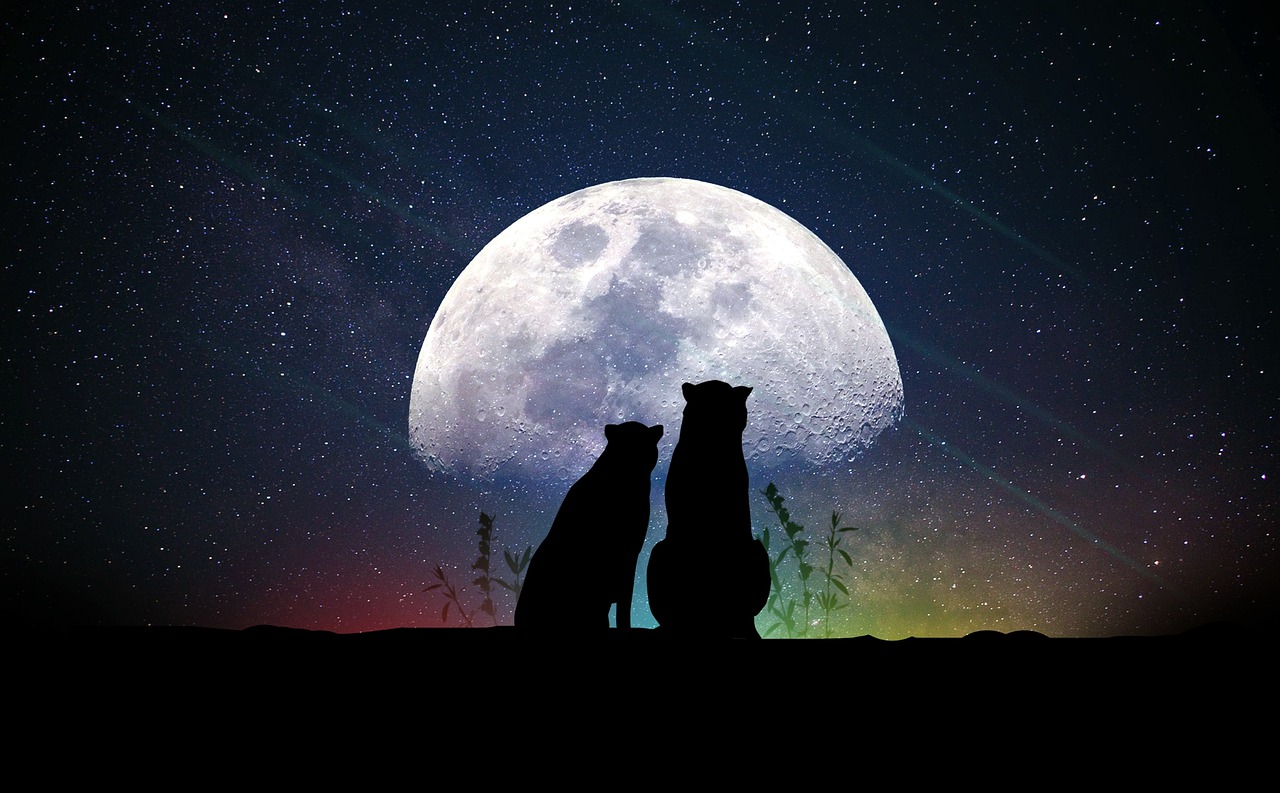 探索四月明星视频制作背后的故事与魅力