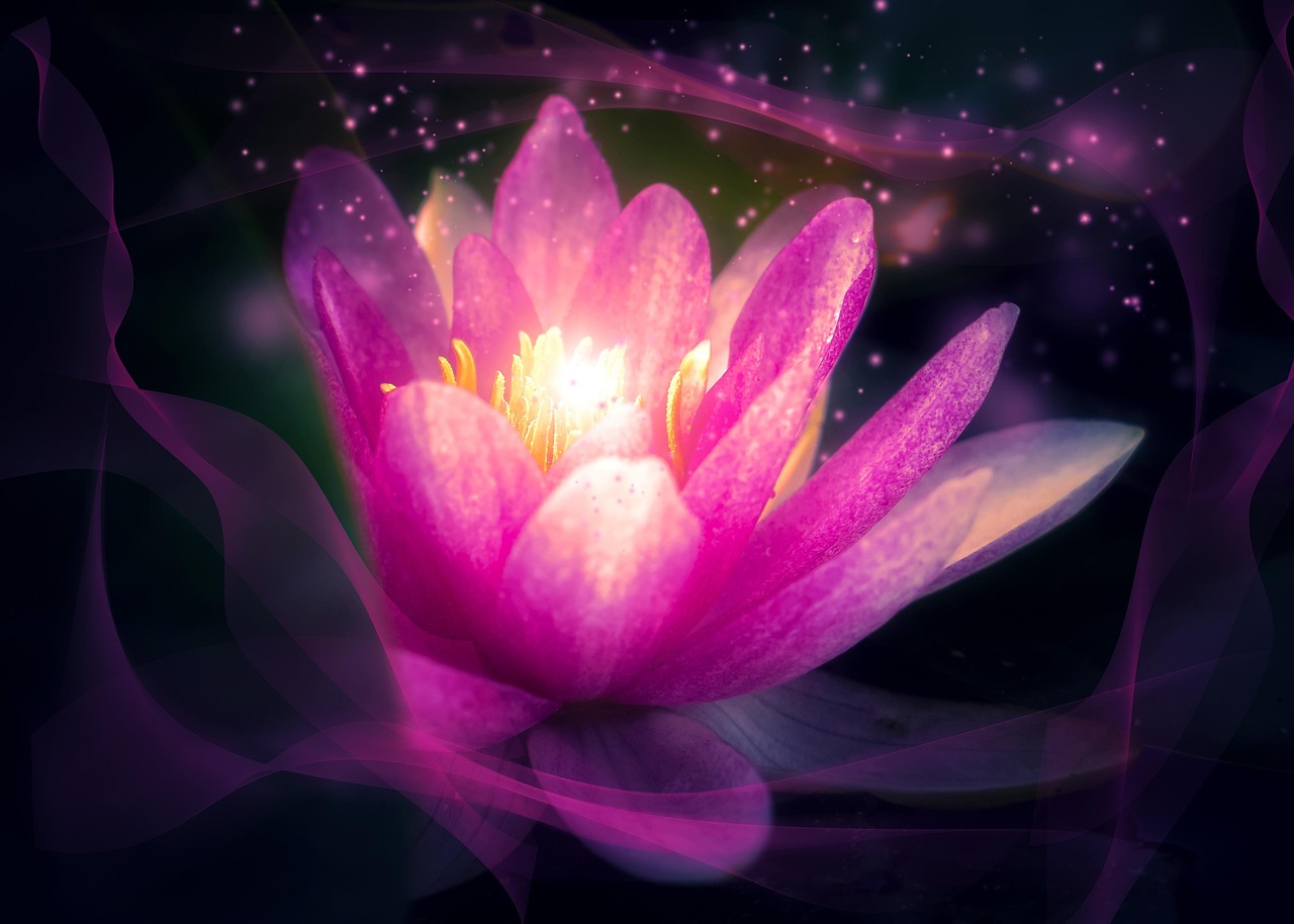 4月百合动漫视频的魅力与赏析，深度探索其独特之处与赏析体验