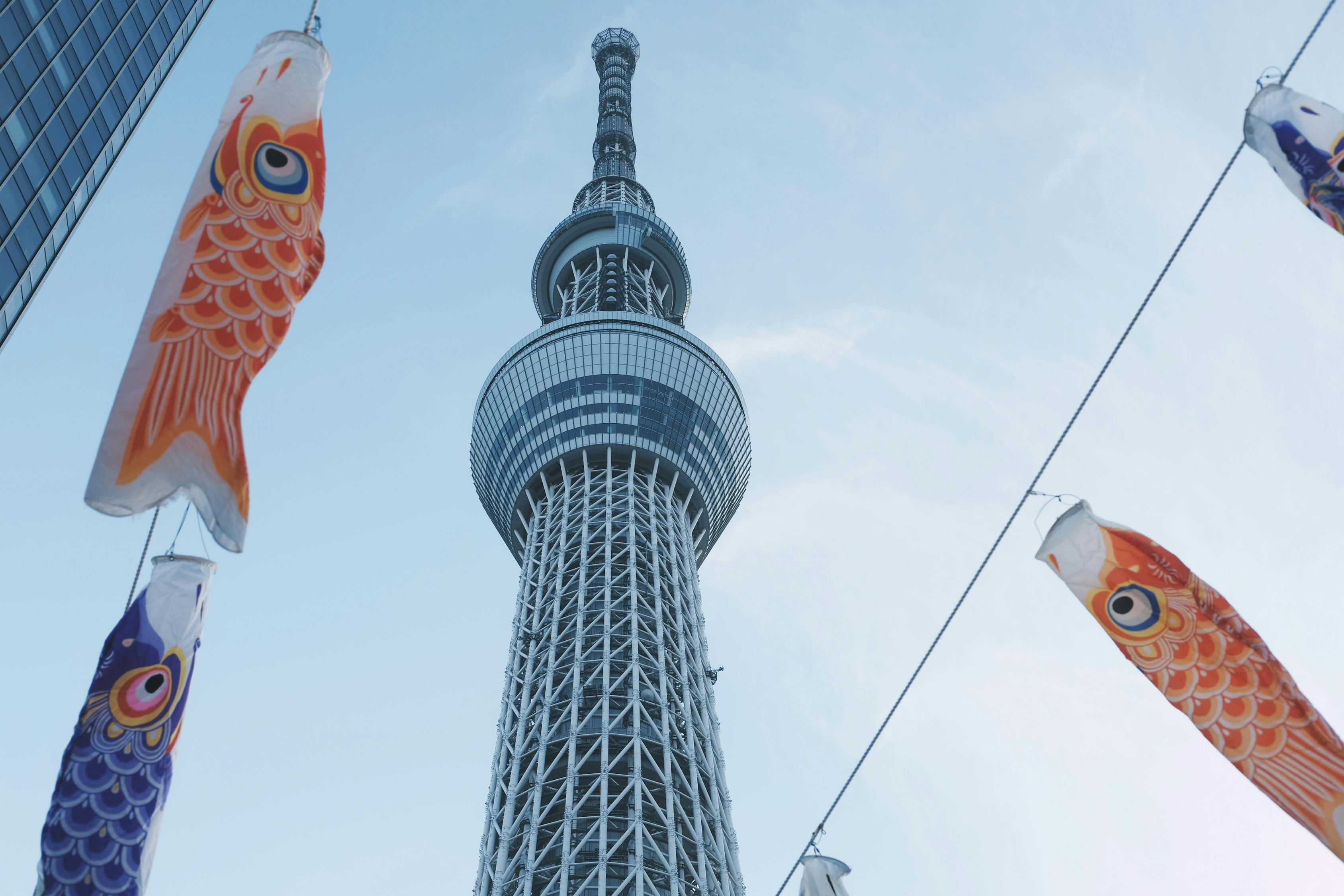 五月东京热点视频揭秘，潮流、文化与科技的完美交融