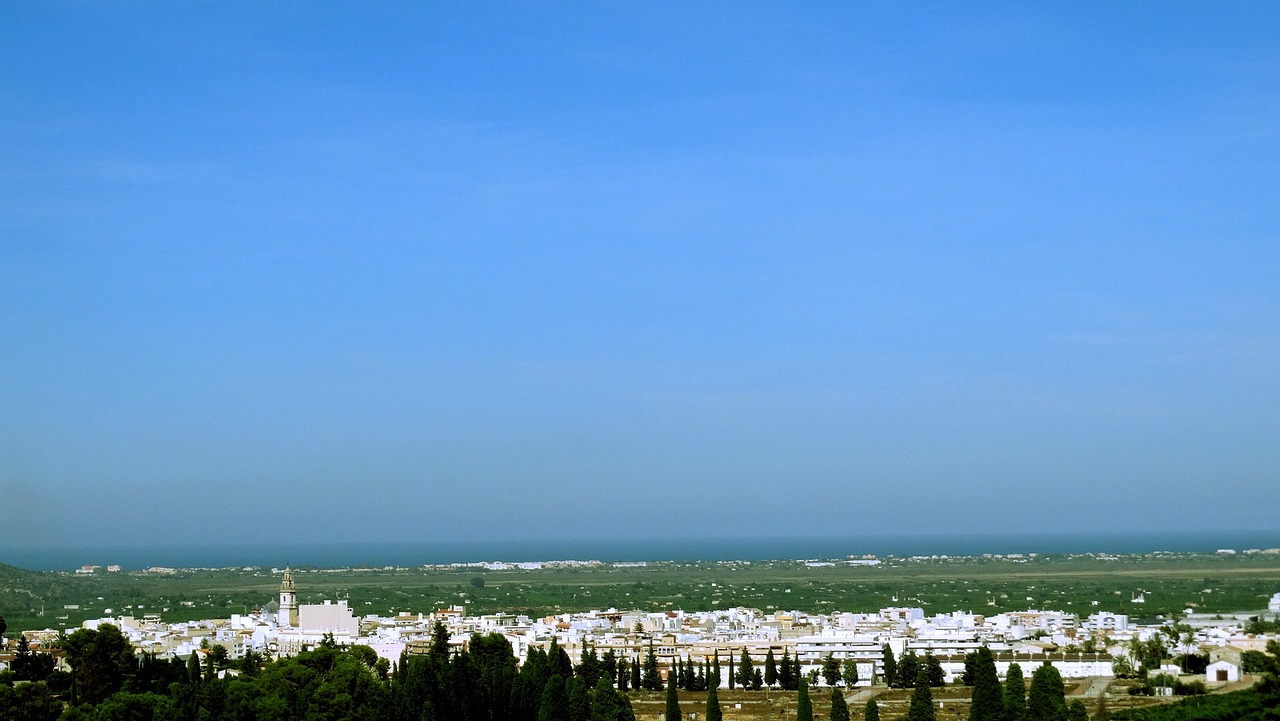 五月北京邮票市场最新动态概览